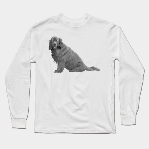 Newfoundland Long Sleeve T-Shirt by doggyshop
